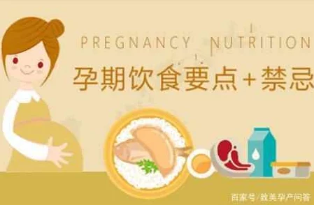 全部孕妇髦片孕期营养与健康指南：科学饮食助力母婴健康