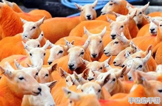 一极黄色片子其实是指一极保护动物的相关纪录片