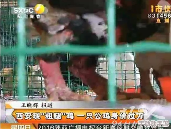 撑坏粗大粗喘bl偷猎者