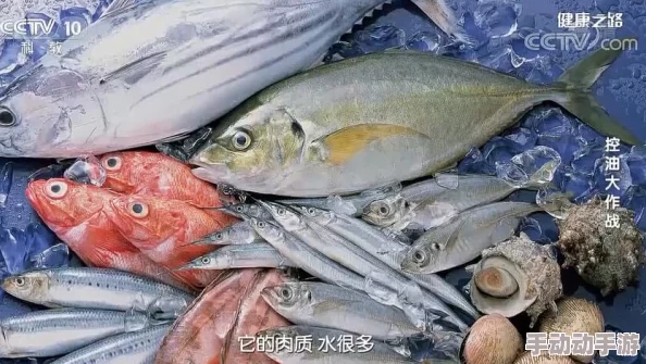 明日之后鹦嘴鱼美味烹饪配方大全：推荐3款融合任意蔬果肉类的特色食谱