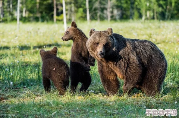 欧洲亚洲一区指的是俄罗斯横跨欧亚大陆的独特地理位置及其文化融合