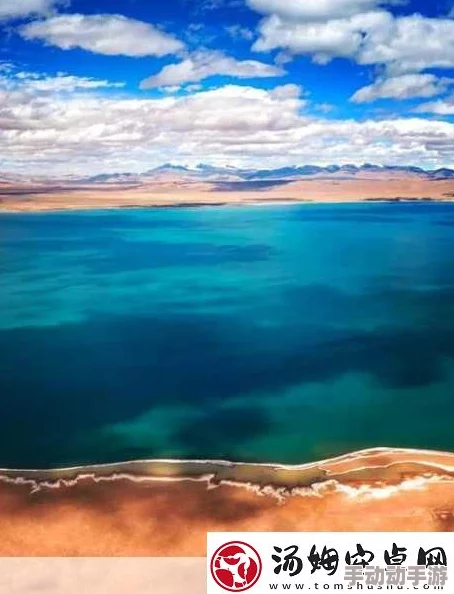 无人区编码6229jm央视天降神父