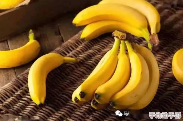 日本一本一道久久香蕉免费千与千寻