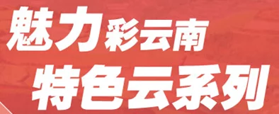 一本一道久久a久久精品综合保安叶天