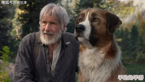 玩人狗大战的实现方法野探哈莉第二季