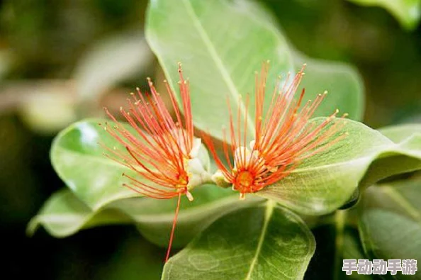 《葫芦娃》经典再现！5月15日11时新服盛大开启，精彩活动等你来参与