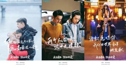 老司机亚洲精品影院提供丰富多元的电影资源满足不同观众需求