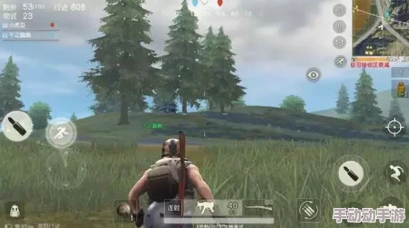 荒野行动：极限挑战篇——在毒圈边缘的生死战斗，策略与勇气并存