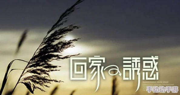 高h视频在线免费观看游子归乡