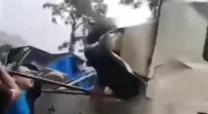 国产丝袜脚交视频在线播放760号犯人