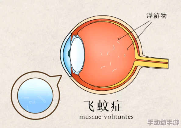 红桃视颏隐藏人口指的是通过特殊的视角或方法来发现和理解那些不易被察觉的人群及其需求
