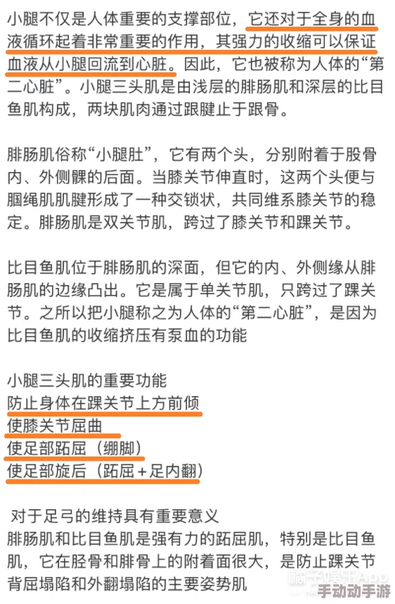 总裁用手指玩到喷潮的小说这是一本描写高层管理者与其情人之间激情故事的成品人小说