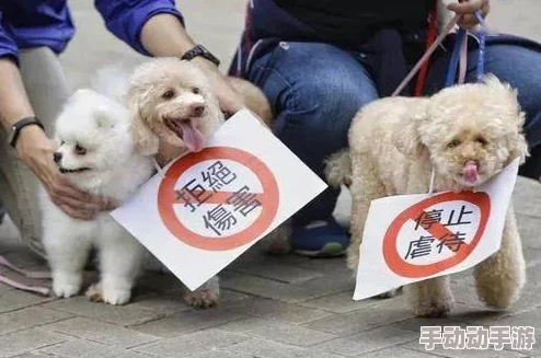 欧美人与动物姓行为视频播放此类内容可能涉及法律和道德问题，请谨慎观看