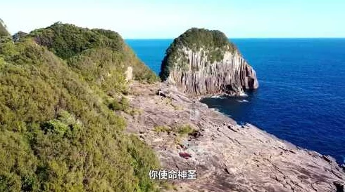 九九视频免费看群岛