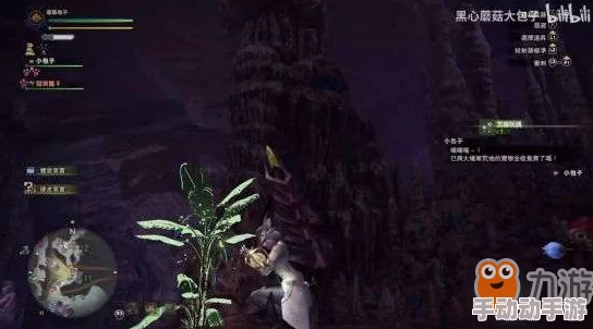 惊喜揭秘！怪物猎人中龙苔最多之地，竟隐藏着你意想不到的宝藏地点！