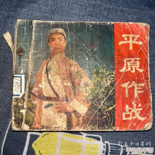 爱啪啪网平原作战