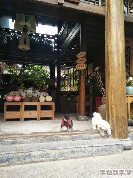 酒帘村里新开了一家特色小酒馆，吸引了不少游客前来品尝美酒和风味小吃