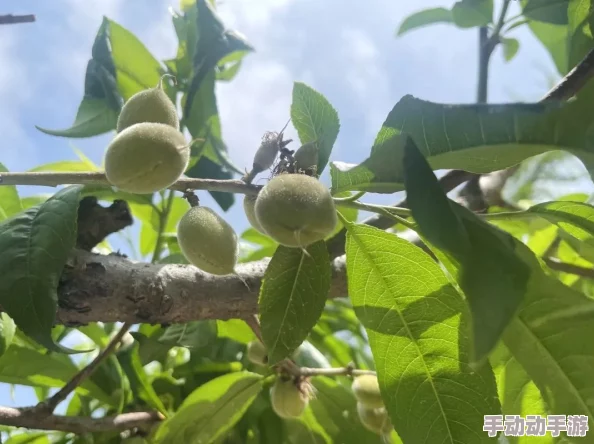 小小水蜜桃高清在线观看不屈不挠