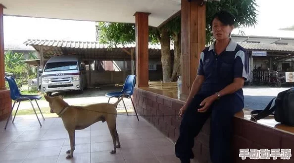 女邻居沣满的奶水完整小区里新开了一家宠物咖啡馆生意火爆