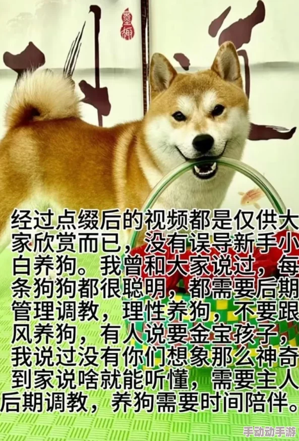 啁教母狗网站积极向上让我们共同努力传播正能量与爱