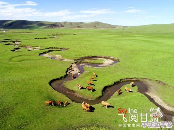 惊喜揭秘！创造与魔法中旧天蓝之心绝美位置大公开，探寻秘境之旅即刻启程