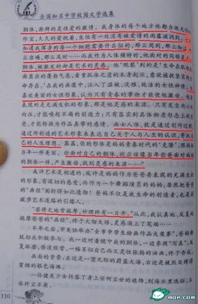 完整秽淫刺激长篇小说近日该小说在网络上引发热议吸引了大量读者关注