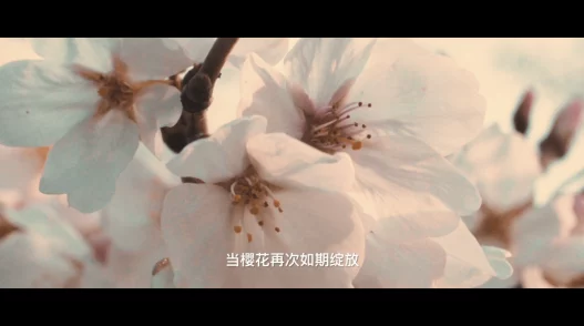 少女级品呐衣倮露视频一日本道色综合少女级品呐衣倮露视频积极向上，努力追求梦想，拥抱美好生活，创造属于自己的精彩人生