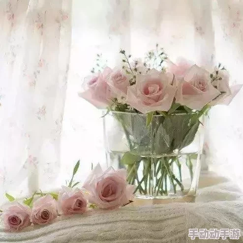 淑容二次到老卫船上来新最长的拥抱传递温暖与爱心让我们珍惜每一个相聚的瞬间 淑容二次到老卫船上来新最长的拥抱传递温暖与爱心让我们珍惜每一个相聚的瞬间