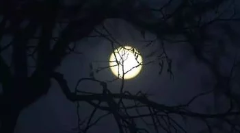 寒鸦小说深夜电台2明月与晨星心怀梦想勇敢追逐未来的光芒 寒鸦小说深夜电台2明月与晨星心怀梦想勇敢追逐未来的光芒