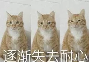 毛茸茸的又肥又大的岳小说据说作者养了三只猫灵感都来源于此 毛茸茸的又肥又大的岳小说据说作者养了三只猫灵感都来源于此