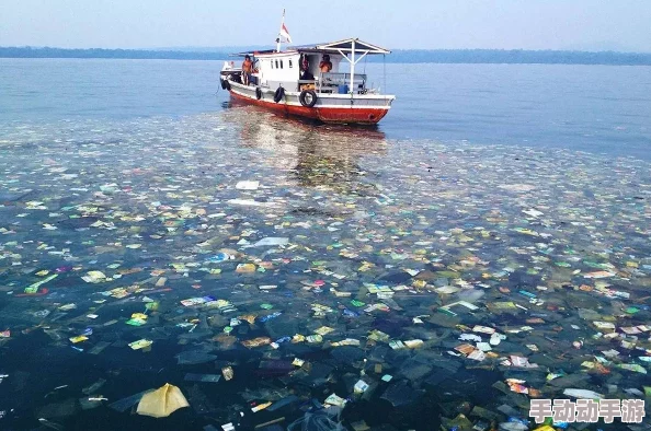 娇嫩的玉蛤轻开摄影师镜头下的海洋珍馐展现极致鲜美 娇嫩的玉蛤轻开摄影师镜头下的海洋珍馐展现极致鲜美