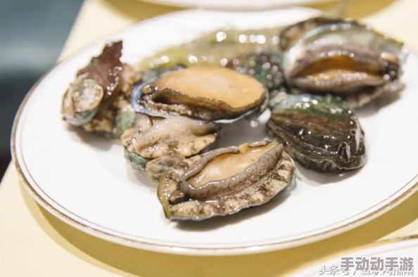 娇嫩的玉蛤轻开摄影师镜头下的海洋珍馐展现极致鲜美 娇嫩的玉蛤轻开摄影师镜头下的海洋珍馐展现极致鲜美