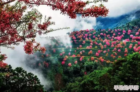 真江湖HD新挑战:无量山决战,热门英雄争霸赛等你来战! 真江湖HD新挑战:无量山决战,热门英雄争霸赛等你来战!