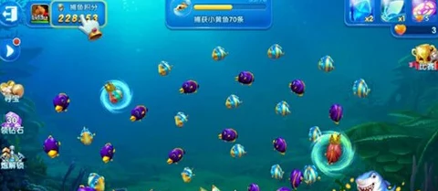 捕鱼来了C级炮台性价比深剖:船长与狂枭选择新攻略 捕鱼来了C级炮台性价比深剖:船长与狂枭选择新攻略