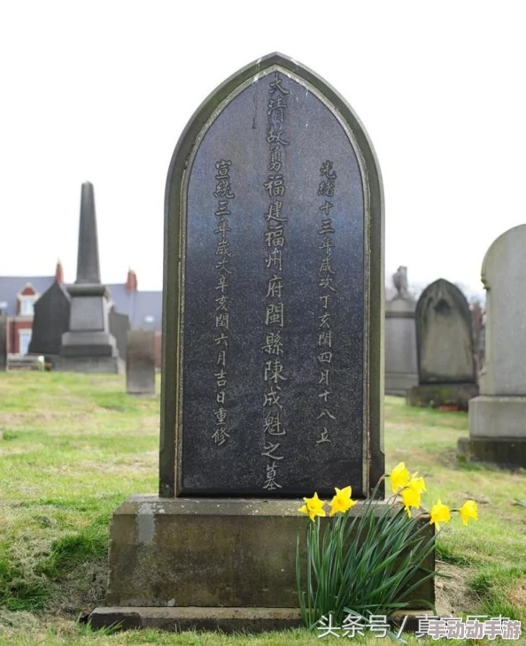 战舰帝国手游最新热门:英王乔治五世级舰船详细图鉴解析 战舰帝国手游最新热门:英王乔治五世级舰船详细图鉴解析