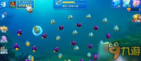 捕鱼来了！大神揭秘最新热门技巧，助你捕获更多鱼儿秘籍