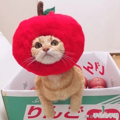 喵星猎人新手全方位深度攻略：从零开始的狩猎之旅解析