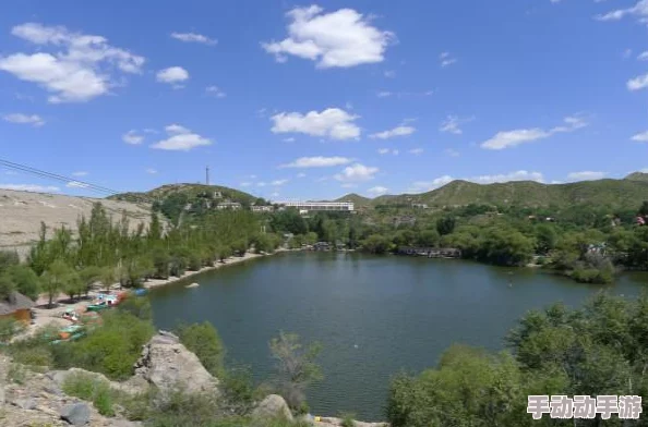 黑色沙漠手游小神龟宠物获取攻略:常见途径与技巧详解 黑色沙漠手游小神龟宠物获取攻略:常见途径与技巧详解