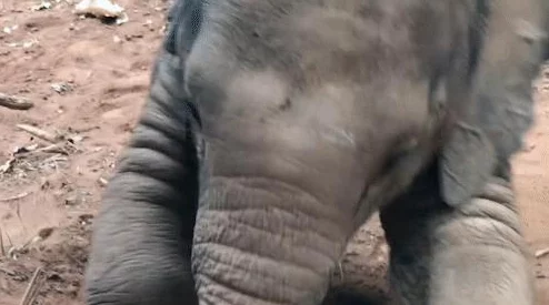 地铁逃生皮肤推荐:最佳选择与详细评测 地铁逃生皮肤推荐:最佳选择与详细评测