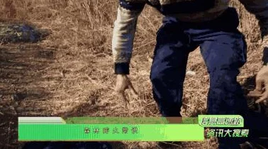 地铁逃生皮肤推荐:最佳选择与详细评测 地铁逃生皮肤推荐:最佳选择与详细评测