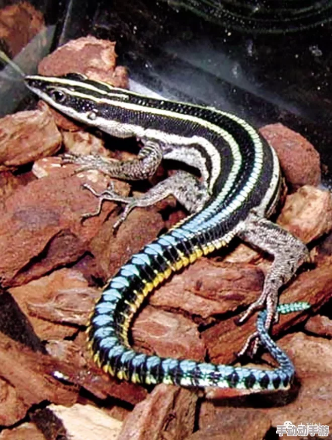 地铁逃生皮肤推荐:最佳选择与详细评测 地铁逃生皮肤推荐:最佳选择与详细评测