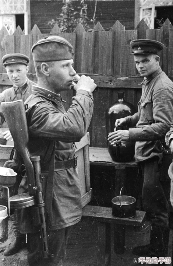 硬核二战游戏推荐:免费畅玩的精彩战争游戏榜单 硬核二战游戏推荐:免费畅玩的精彩战争游戏榜单