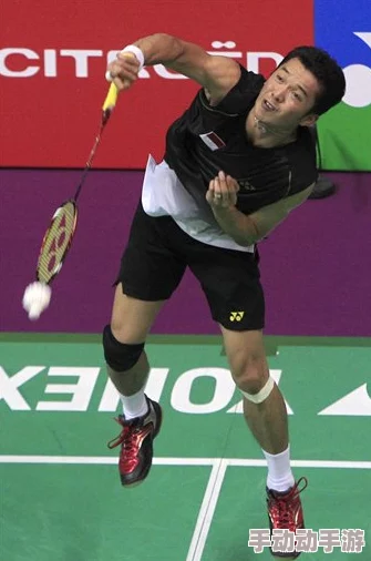 羽毛球高手防御扣杀技巧揭秘:策略与实战助您立于不败之地 羽毛球高手防御扣杀技巧揭秘:策略与实战助您立于不败之地