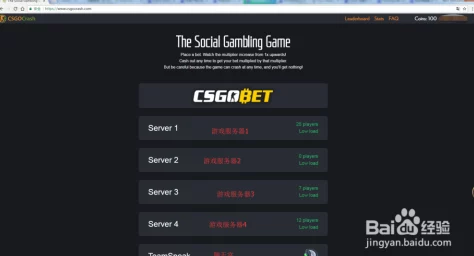 CSGO皮肤获取指南:多种方式教你轻松获得 CSGO皮肤获取指南:多种方式教你轻松获得