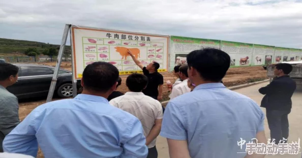 航海王燃烧意志周年庆典玩法攻略，精彩活动全解析