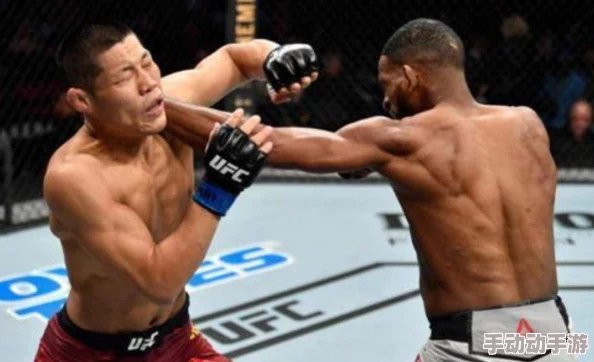 跨域对决，UFC拳手跨越万里线下较量，终结网络喷子恩怨