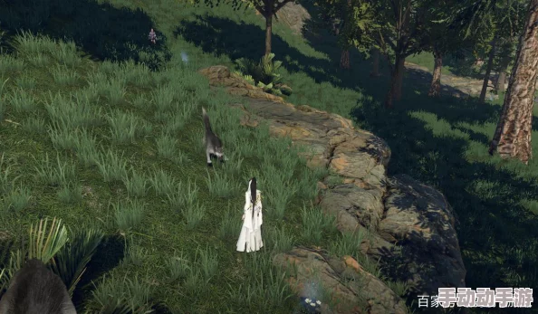 逆水寒旷野的呼唤任务攻略详解 ｜ 探索旷野的呼唤详细步骤