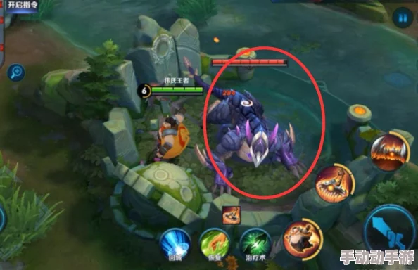 王者荣耀杀主宰，哪些英雄表现更出色,不同段位的最佳选择