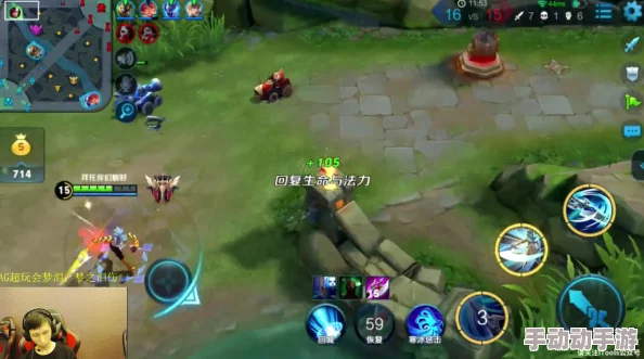 王者荣耀杀主宰，哪些英雄表现更出色,不同段位的最佳选择