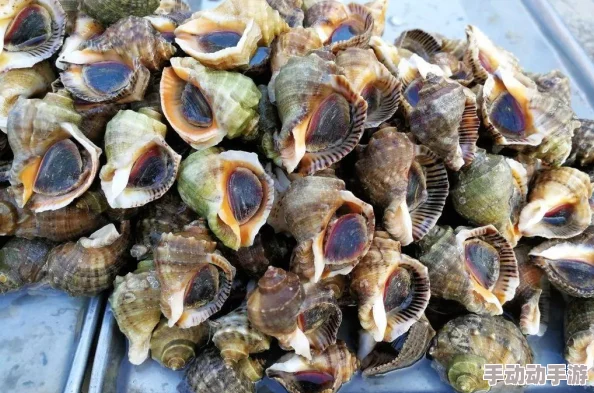 超市模拟器深度解析如何正确拿取与丢弃箱子物品指南 超市模拟器深度解析如何正确拿取与丢弃箱子物品指南